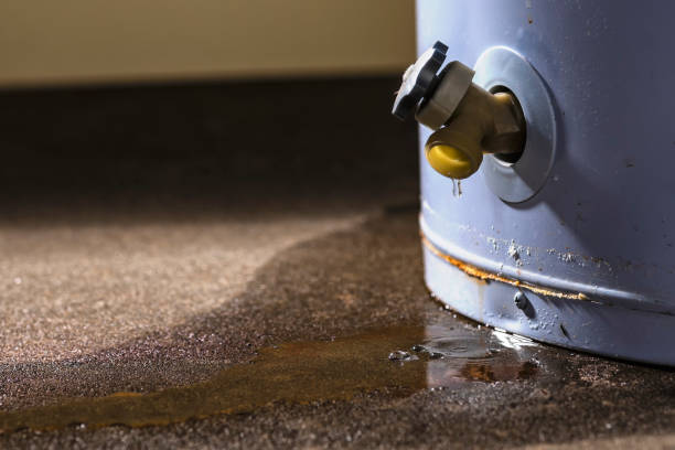 Sewage cleanup and water damage restoration in Royal City, WA