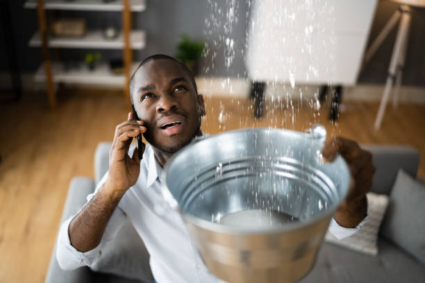 Best Flood damage cleanup  in Royal City, WA