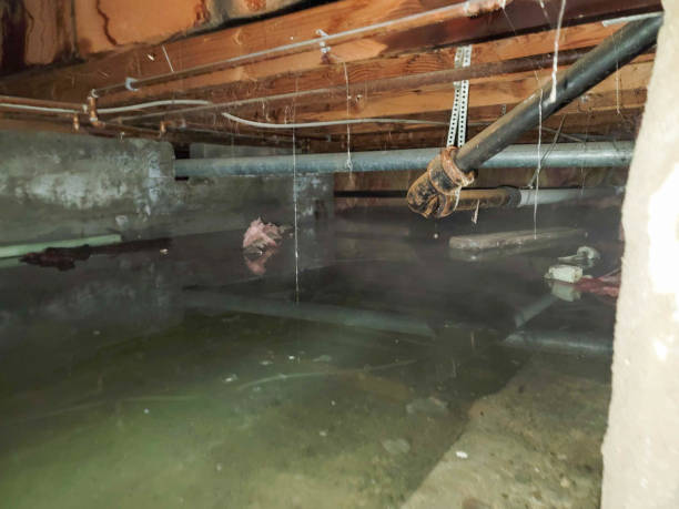 Best Water damage restoration process  in Royal City, WA