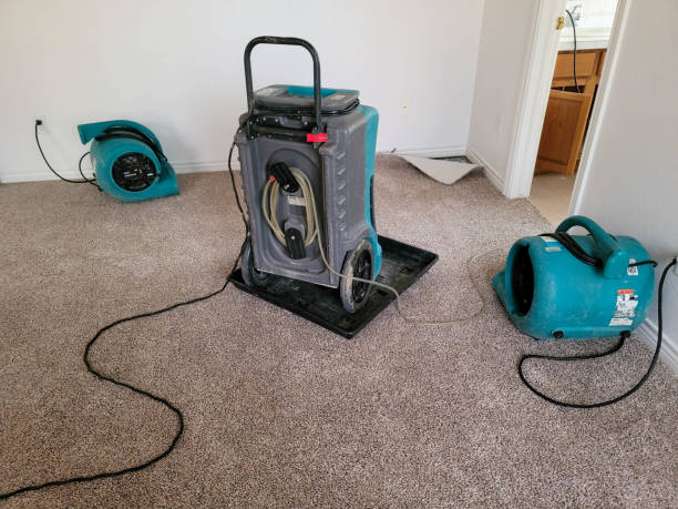 Best Mold removal after water damage  in Royal City, WA