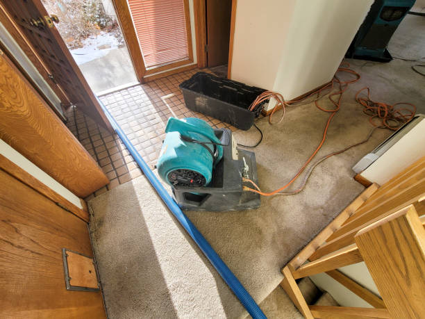 Best Sewage cleanup and water damage restoration  in Royal City, WA
