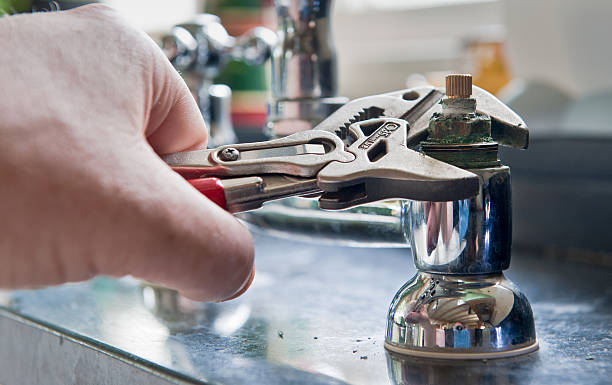 Best Professional water damage repair  in Royal City, WA