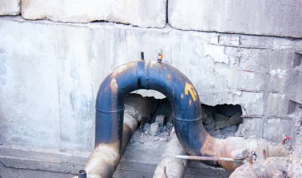 Best Mold removal after water damage  in Royal City, WA